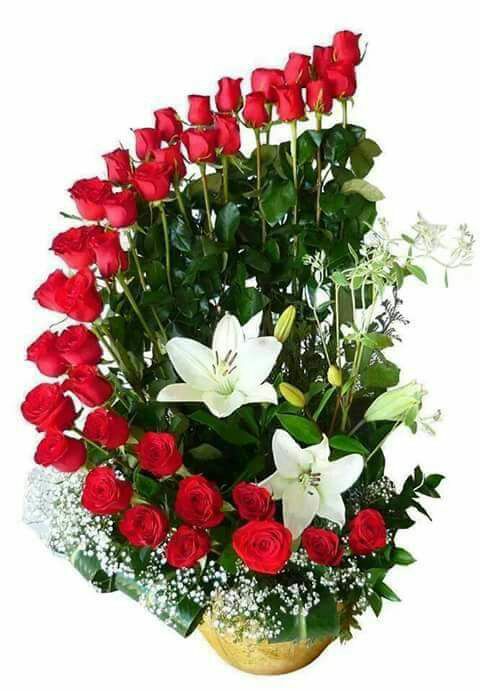 Envio y venta de flores ,rosas, plantas,arreglos florales ,regalos y desayunos a domicilio con delivery gratis en la Ciudad Autonoma de Buenos Aires y con costo de env�o en localidades del Gran Buenos Aires asi como delivery de flores y plantas a trav�s de florerias asociadas en todas las provincias de la Argentina, Buenos Aires, la Pampa, Tucuman, La Rioja, R�o Negro, Entre Rios, Corrientes, Misiones, Neuquen, Chubut, Tierra del Fuego, Santa Cruz, San Luis, Mendoza, Cordoba, Jujuy, Formosa, Santiago del Estero, Salta, Chaco, Catamarca ,San Juan, y ademas realizamos el delivery de flores ,coronas,palmas , plantas y regalos a todas las ciudades de Argentina, Mar del Plata, C�rdoba, Buenos Aires, con cargo en Santa Rosa, La Plata, Bella Vista, Neuquen, Pilar, Paran�, Posadas, Resistencia, Cipolleti y mas de 300 ciudades y localidades en todo el territorio de nuestro pa�s, asi como tambien tenemos la posibilidad de enviar flores a casi todo el mundo en cuestion de horas